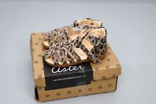 Aster OFILIE BONTON -