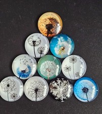 Glas Cabochon Pusteblume 10 mm