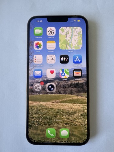 Ipohne pro max - 13, mit