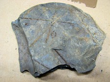 Bornholm DK Gesteinsammlung