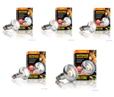 Exo Terra Intense Basking Spot Terrarium Wärmestrahler Wärmelampe für Reptilien