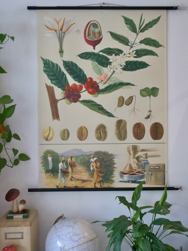 Vintage schulwandkarte - vintage, |