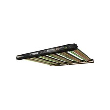 Dimlux - Xtreme LED Mkii Ion