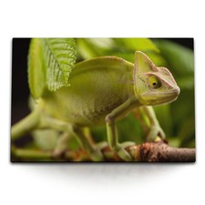 120x80cm Wandbild auf Leinwand