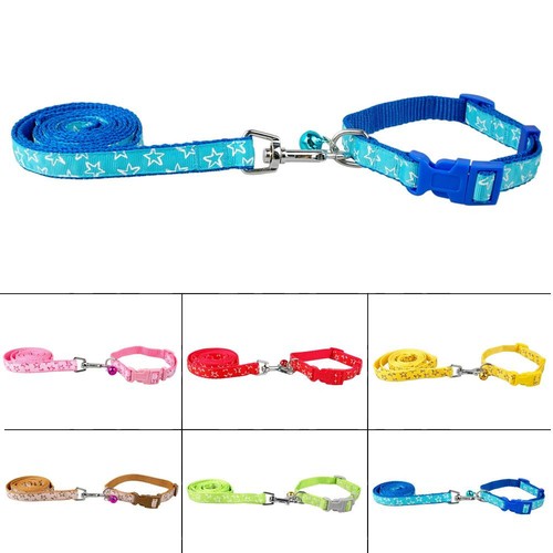 Hunde halsband hundeleine - hunde,