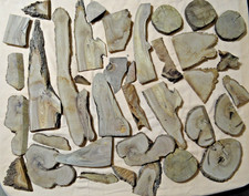 3 kg Olivenholz Bastelholz