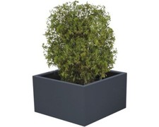 Pflanzkübel Palatino Clara