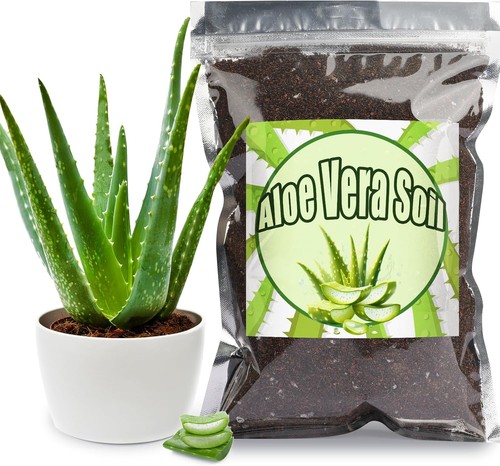Aloe vera erde mischung - vera,