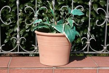 Tontopf Terrakotta pflanztopf