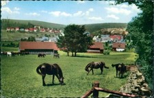 Ansichtskarte Neuhaus Solling