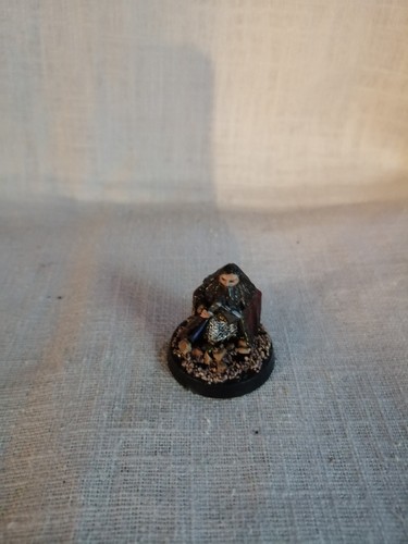Herr der ringe tabletop - gw,