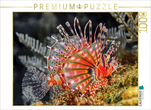Calvendo puzzle feuerfisch - puzzle, |
