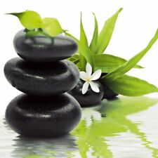 Eurographics DG-DT1150 Deco