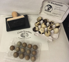 15 Stück Zwergwachtel Bruteier bunt 