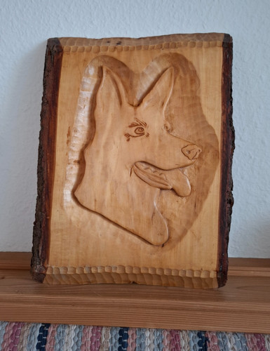 Bild aus