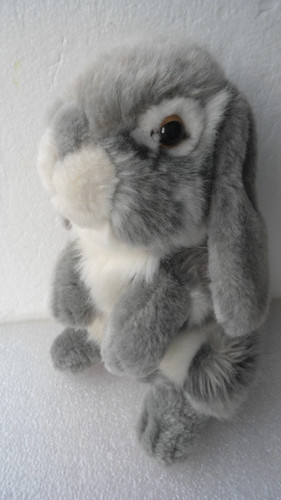 Hase teddy hermann kaninchen - teddy,