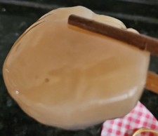 Kombucha Pilz 50g mit