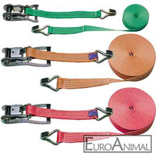 Spanngurt Zurrgurt Zurrgurte