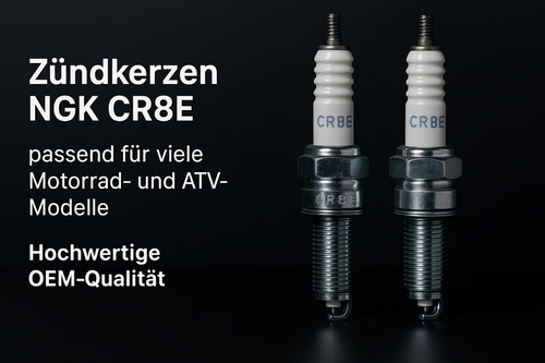 Ngk zündkerze cr8e - 2x,