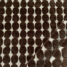 1,1,5 m Harlekin Henry Holland