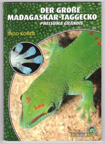 Der große madagaskar - der, madagaskar-taggecko