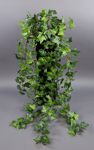 Waldefeubusch 90cm - , da