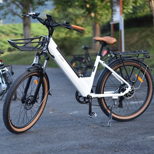 Bike zoll elektrofahrrad - e-bike,