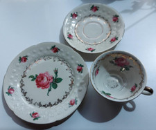 Sammeltasse, Mitterteich Bavaria Porzellan, Rosenmuster 64