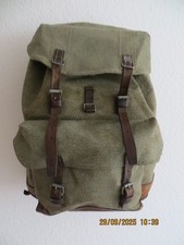 Robuster, alter Schweizer