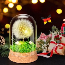 Wunscherfüller Echte