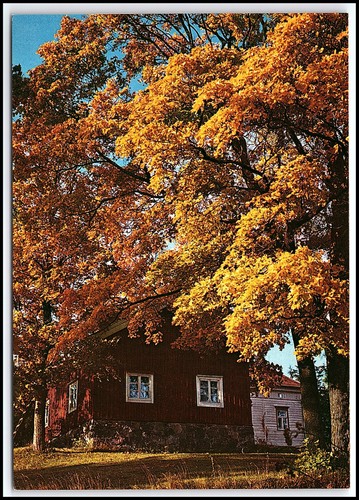 Alte finnland postkarte - postkarte, herbst