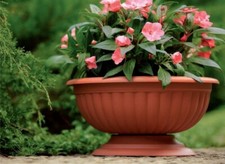 Blumenschale Pflanzschale