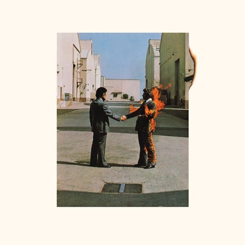 Pink floyd wish you - floyd, here