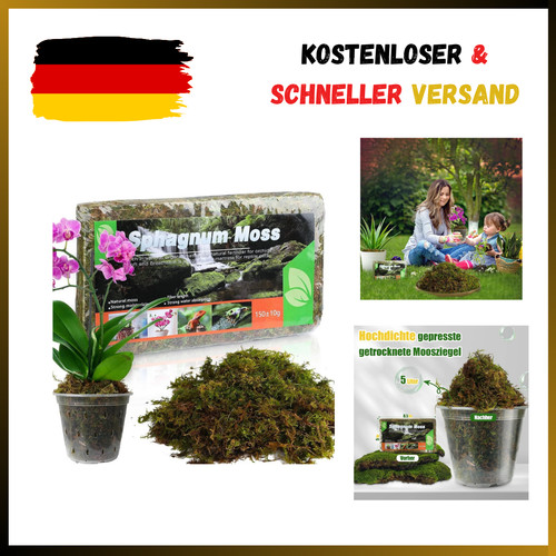 Sphagnum moos für pflanzen - für,