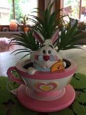 Disney Disney Store Alice im