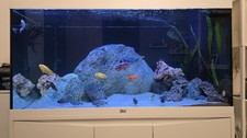 Aquarium Kombination 120x50x60 Aquatlantis Volga 350