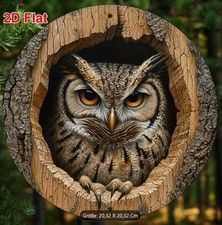 wunderschöne EULE im Baumloch