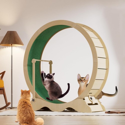 110cm laufrad für katzen - 110cm,