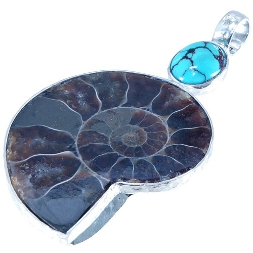 Anhänger nautilusmuschel - anhänger,