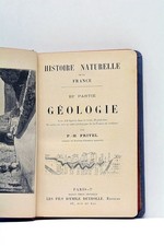 FRITZEL GEOLOGIE