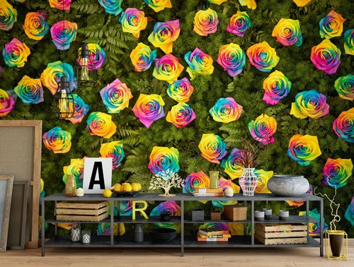 Regenbogenrose h5920 tapete - 3d,
