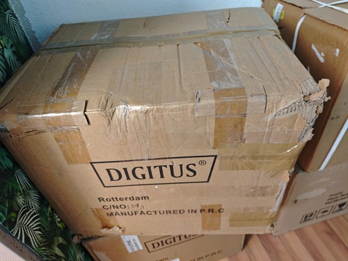 Digitus zoll wandgehäuse - zoll,