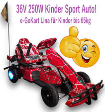 Elektro GoKart 36V 250W Kinder Auto mit Luft GummiReifen! Bis 55 Min. Fahrtzeit!