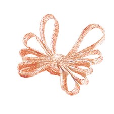 Schnürsenkel Glitzer