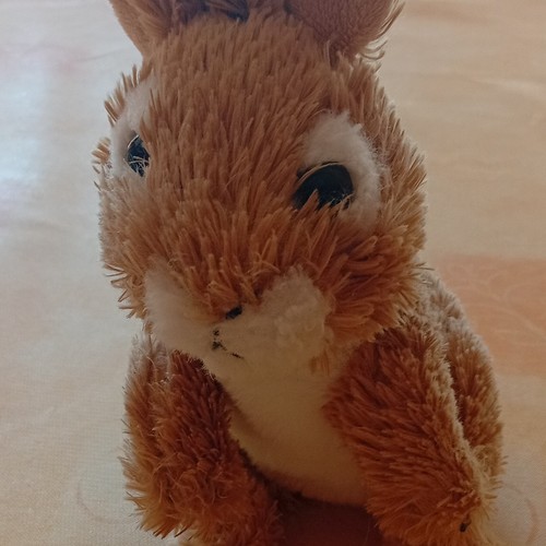 Plüschtier hase kaninchen - plüschtier, hase/kaninchen