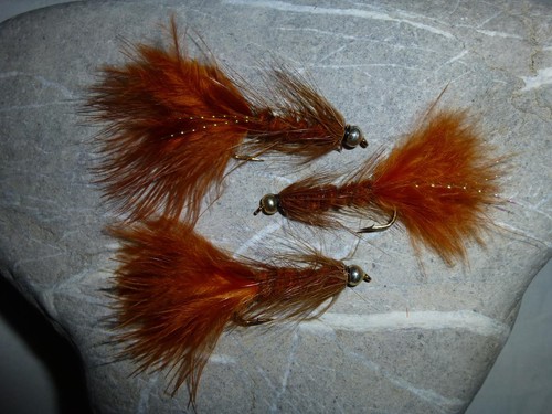 Goldkopf woolly bugger - goldkopf,
