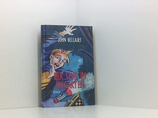 Der Spuk im Irrgarten Roman