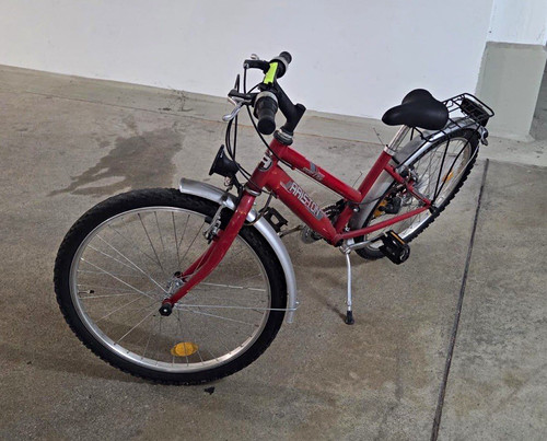 Pegasus city bike - city, rot