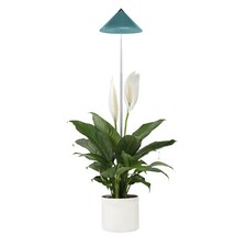 Parus by Venso SUNLiTE LED