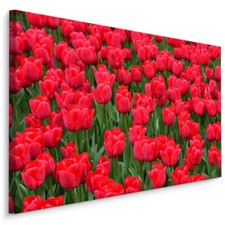 CANVAS Leinwand Bilder XXL